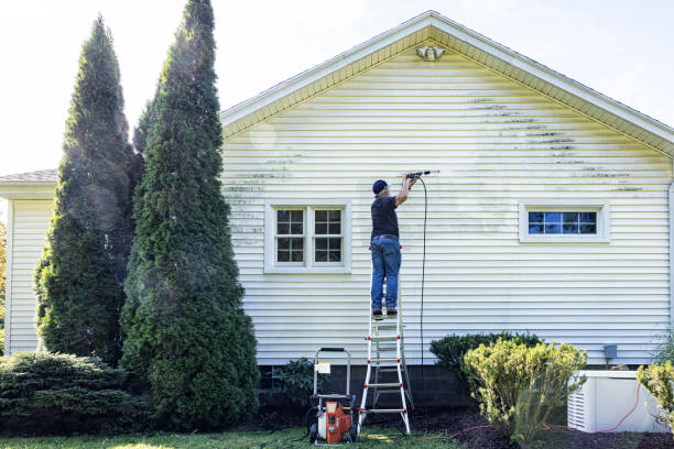 Best Garage Pressure Washing  in Dilley, TX