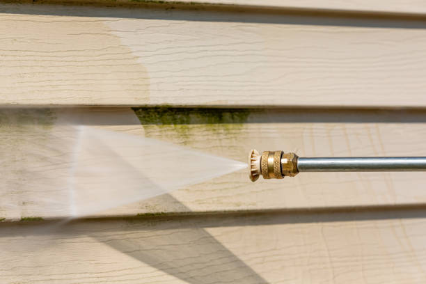 Best Pressure Washing Patio  in Dilley, TX