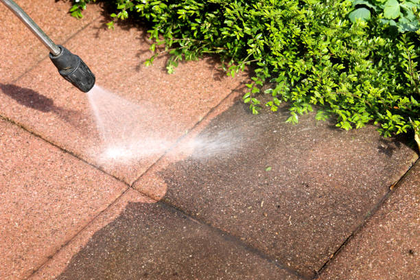 Local Pressure Washing Services in Dilley, TX